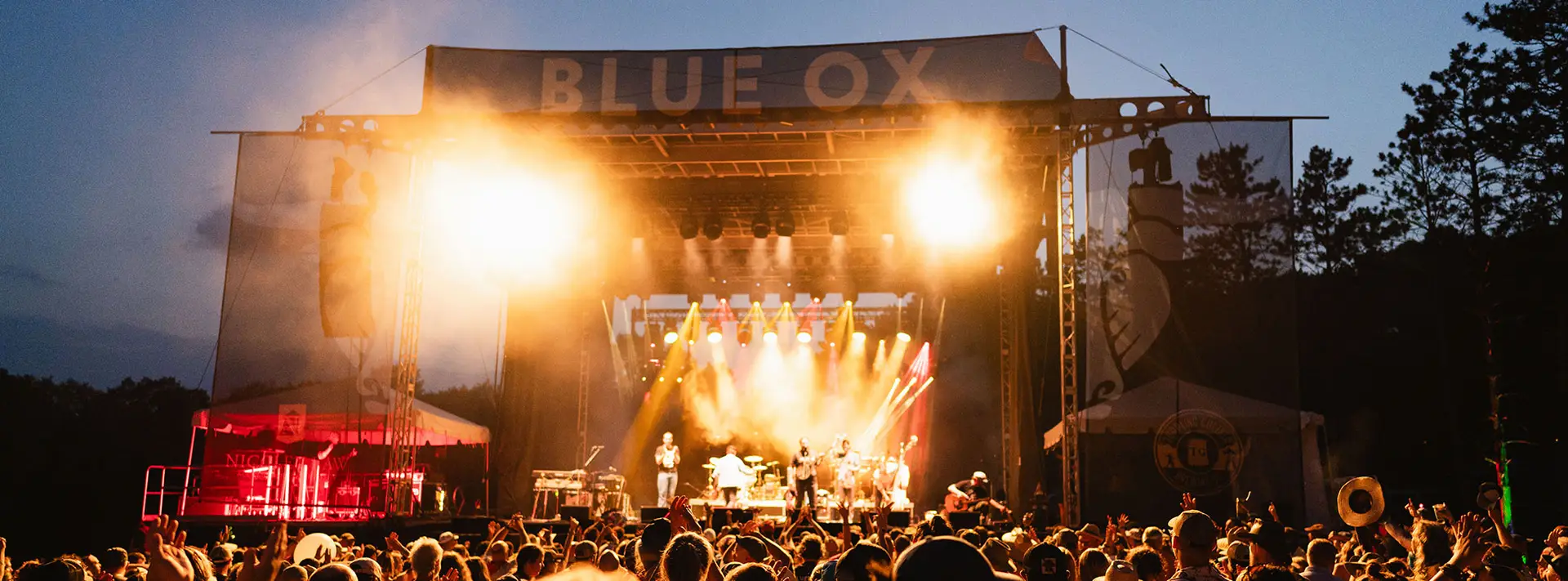 A crowd of people at an outdoor concert.